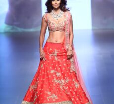 Anushree Reddy