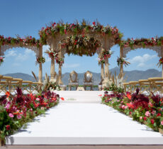 Planbox Weddings & Events