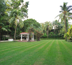 Taj Bengal